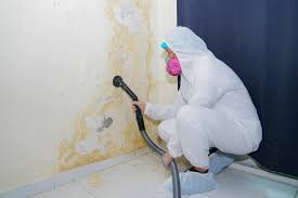 Best Mold Damage Restoration in Azusa, CA